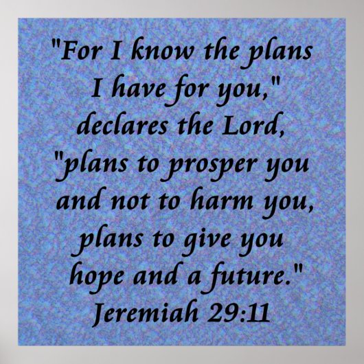 29-11-Poster Poster (Vorne)