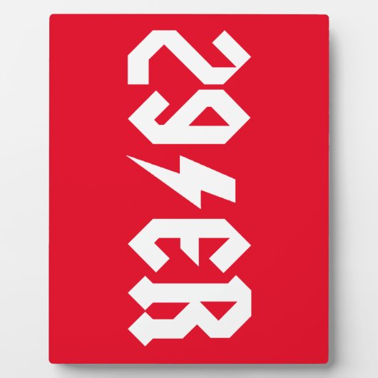 29. FOTOPLATTE (Vorderseite)