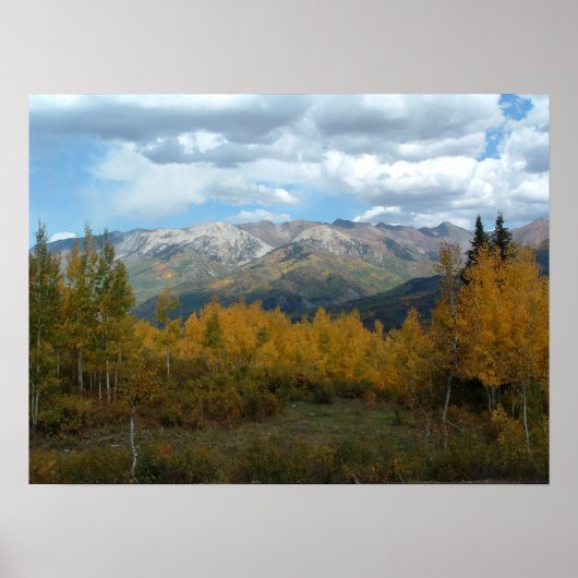 2_2008 POSTER (Vorne)