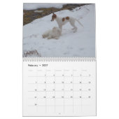 2 2016 seidener Windhounds u. Freund-Kalender Kalender (Feb 2027)