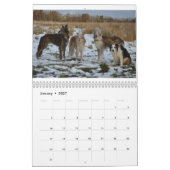 2 2016 seidener Windhounds u. Freund-Kalender Kalender (Jan 2027)