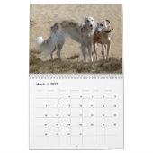 2 2016 seidener Windhounds u. Freund-Kalender Kalender (Mär 2027)