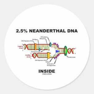 2,5 % NeandertalDNA-Inside (DNA-Replikation) Runder Aufkleber