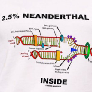 2,5 % Neandertaler DNA-Inside (DNA-Replikation) T-Shirt