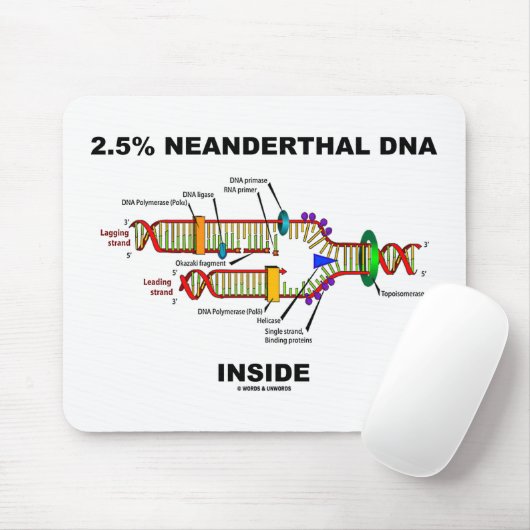 2,5 % Neanderthaler-DNA-Replikation innerhalb der Mousepad (Mit Mouse)