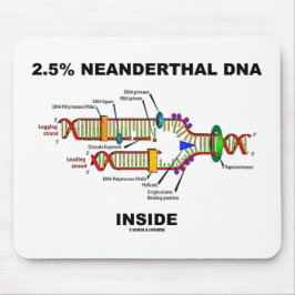 2,5 % Neanderthaler-DNA-Replikation innerhalb der  Mousepad
