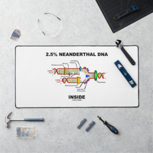 2,5 % Neanderthaler-DNA-Replikation innerhalb der  Schreibtischunterlage