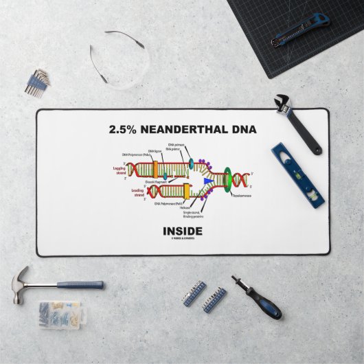 2,5 % Neanderthaler-DNA-Replikation innerhalb der Schreibtischunterlage (Arbeitsplatz)