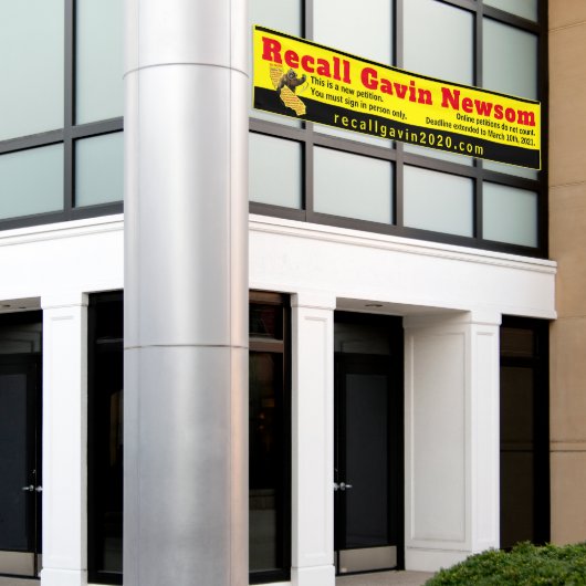 2,5ft x 12ft Recallgavin2020 Banner (größtes) (Äußeres Gebäude)