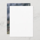 2 Ameisen Postkarte (Vorne/Hinten)