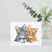 2 American Shorthairs Postkarte (Stehend Vorderseite)