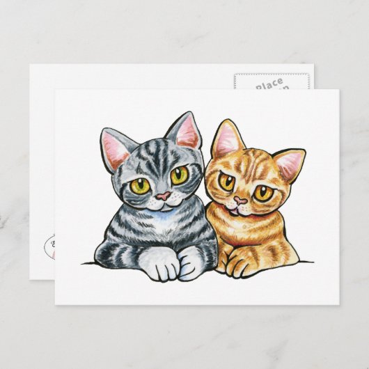 2 American Shorthairs Postkarte (Vorne/Hinten)