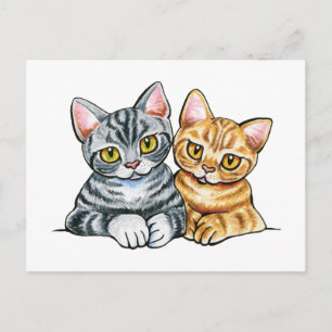 2 American Shorthairs Postkarte