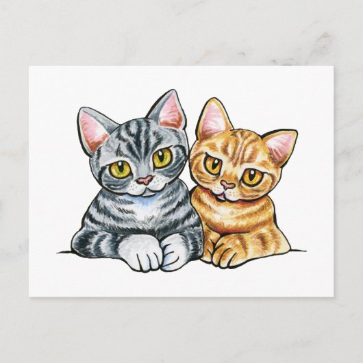 2 American Shorthairs Postkarte (Vorderseite)