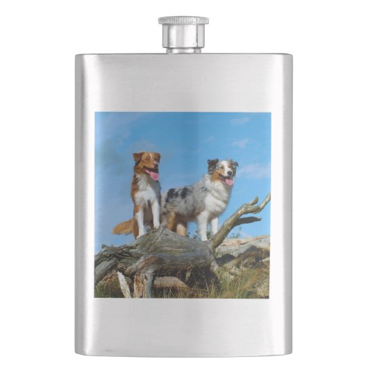 2 australische Schäferhunde Flachmann (Vorderseite)