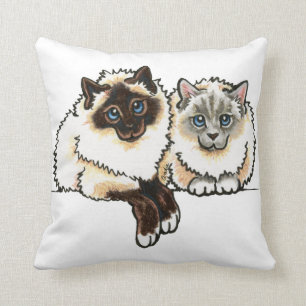 2 Birman Kissen