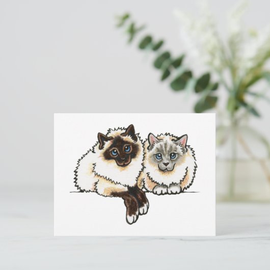 2 Birman Postkarte (Stehend Vorderseite)