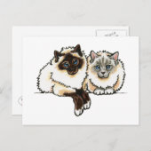 2 Birman Postkarte (Vorne/Hinten)