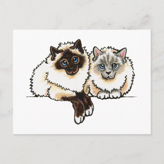 2 Birman Postkarte (Vorderseite)