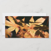 2 Blätter im Herbst Beileid Vielen Dank Dankeskarte (Rückseite)