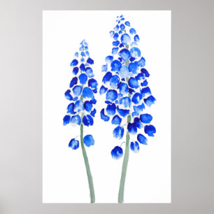 2 blaue abstrakte Traubenhyazinthe Aquarell Poster