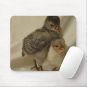 2 Blaue/graue Hähne Mousepad (Mit Mouse)