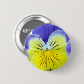 2 blaues gelbes Stiefmütterchen Button (Vorne & Hinten)