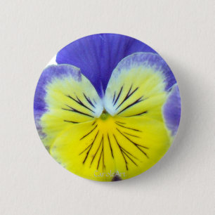 2 blaues gelbes Stiefmütterchen Button