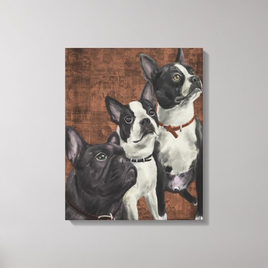 2 Boston Terrier und French Bulldog Leinwanddruck (Vorderseite)