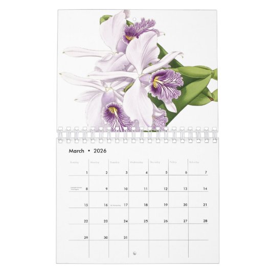 2 botanische Blumen-Blumenkunst-Kalender des Kalender (Mär 2026)