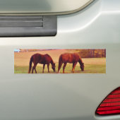 2 Braune Pferde in einem farbigen Feld Autoaufkleber (Auf Auto)