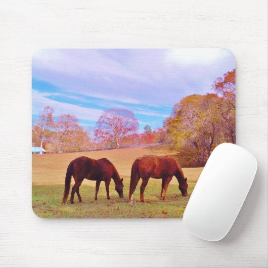 2 Braune Pferde in einem farbigen Feld Mousepad (Mit Mouse)