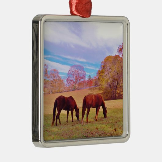2 Braune Pferde in einem farbigen Feld Silbernes Ornament (Rechts)