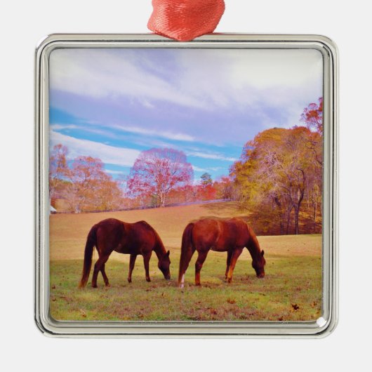 2 Braune Pferde in einem farbigen Feld Silbernes Ornament (Vorne)