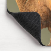 2 BUCKEL-KAMEL MOUSEPAD (Ecke)