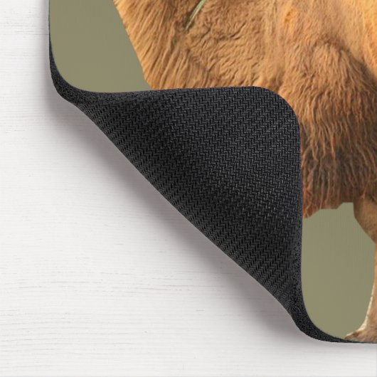 2 BUCKEL-KAMEL MOUSEPAD (Ecke)