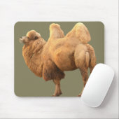 2 BUCKEL-KAMEL MOUSEPAD (Mit Mouse)