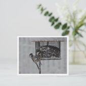 2 Chickadees Postkarte (Stehend Vorderseite)