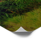 2 Chroniken 7:14 Poster (Ecke)