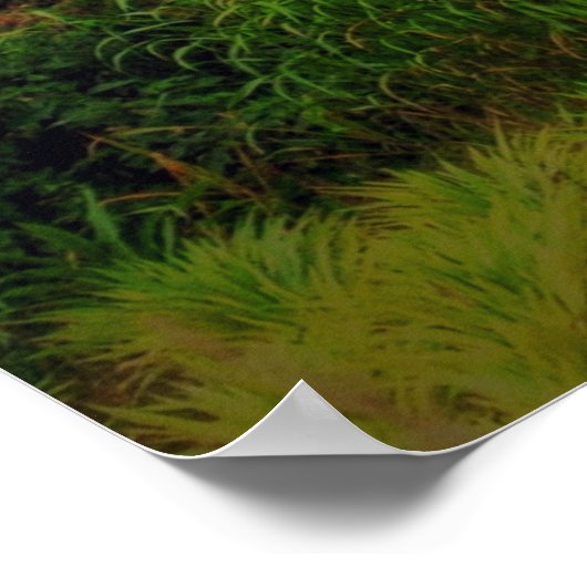 2 Chroniken 7:14 Poster (Ecke)