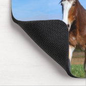 2 Clydesdales mousepad (Ecke)