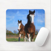 2 Clydesdales mousepad (Mit Mouse)