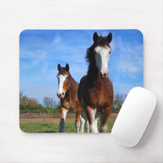 2 Clydesdales mousepad (Mit Mouse)