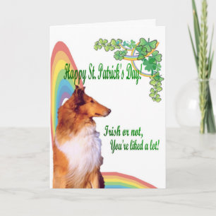 2. Der fantastische irische Collie oder nicht Sie Karte