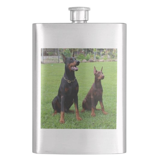 2 DOBERMANN FLACHMANN (Vorderseite)