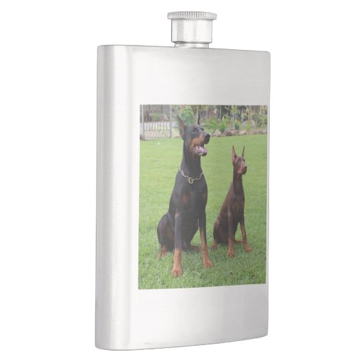 2 DOBERMANN FLACHMANN (Rechts)