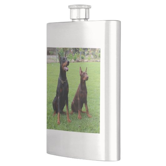 2 DOBERMANN FLACHMANN (Links)