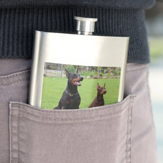 2 DOBERMANN FLACHMANN (Beispiel)