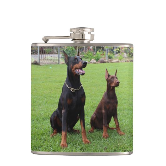 2 DOBERMANN FLACHMANN (Vorderseite)