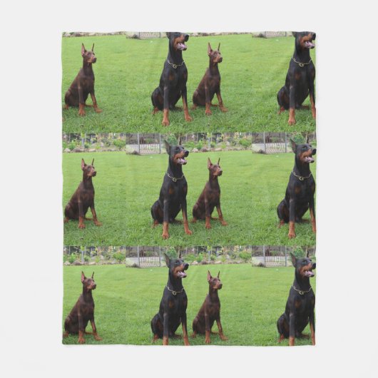 2 DOBERMANN FLEECEDECKE (Vorderseite)